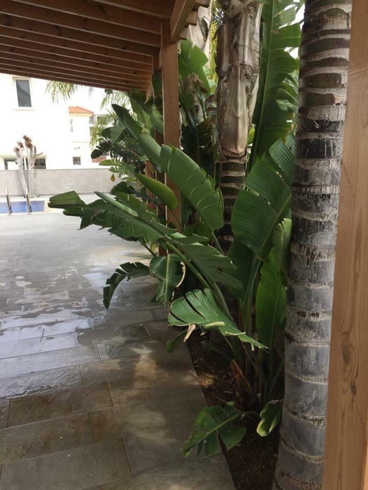 Amanda Villa Protaras Exterior photo